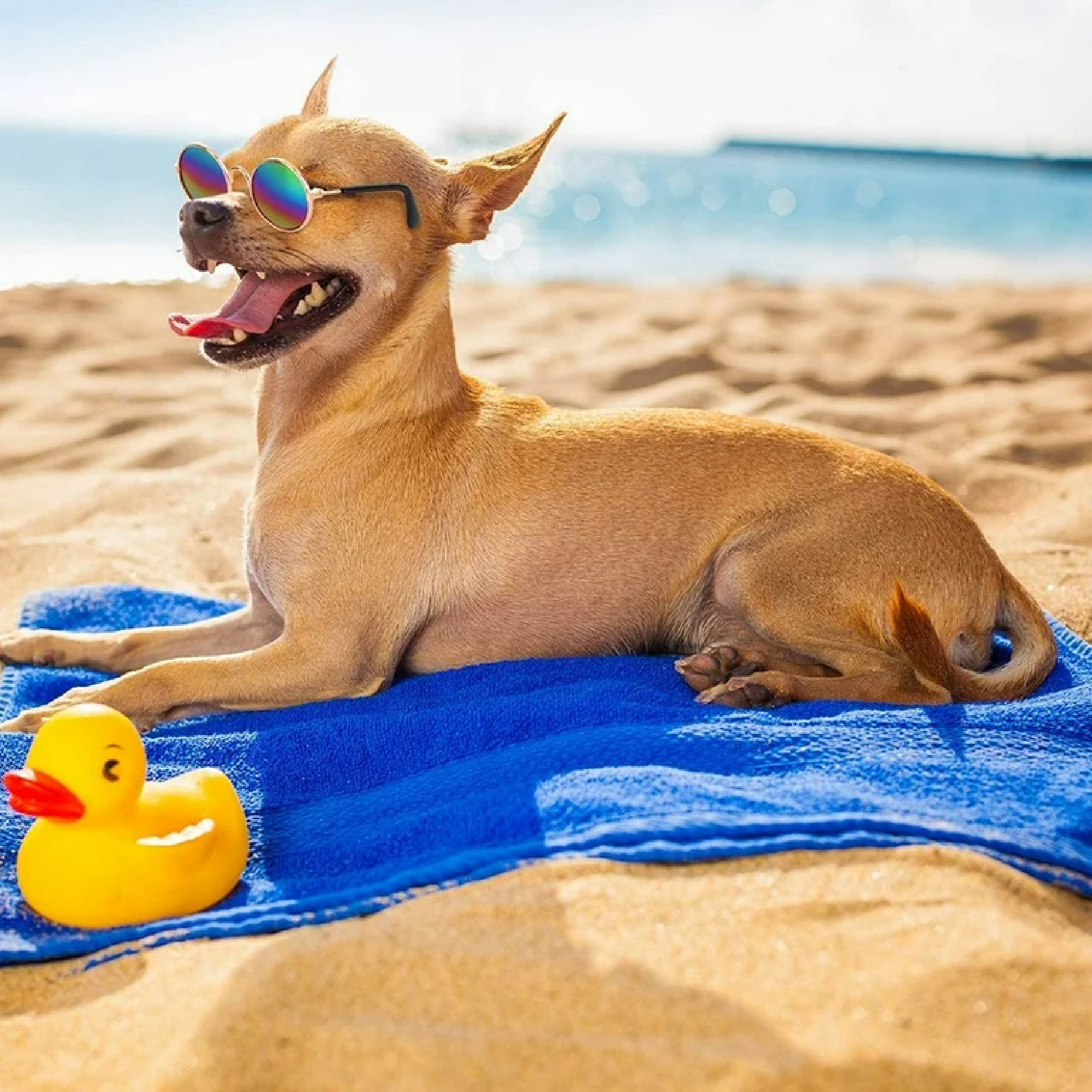 Gafas De Sol Para Perros Mascotas